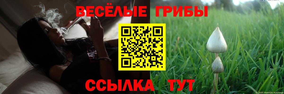 Ржев  Галлюциногенные грибы Magic Shrooms  Вход с VPN 